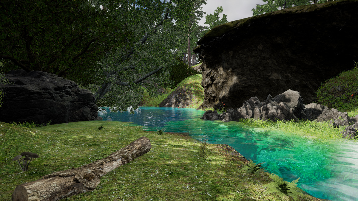 Natural Landscape