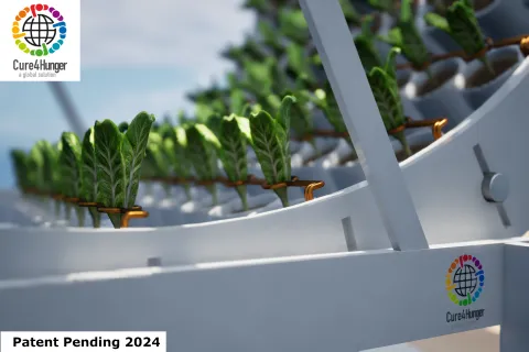 Gravity Garden