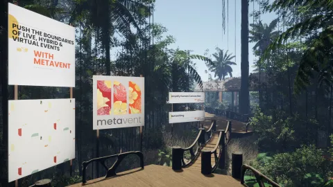 Rainforest
